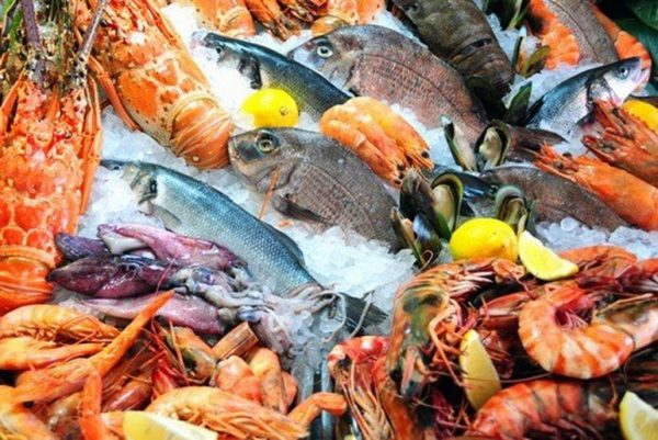 Fresh seafood market display