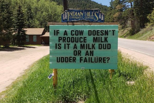 If a cow