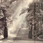 Lao Tzu Gate, Osho Ashram India