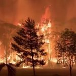 Australia fires