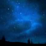 Starry sky in the woods