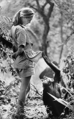 Jane Goodall young