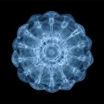 Cymatics standing wave pattern
