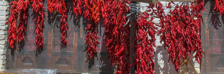 Chillies hanging on wall