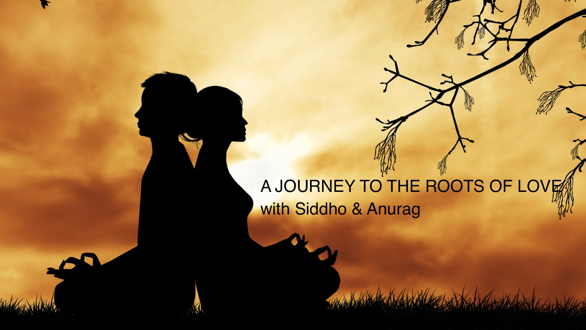 A-Journey-to-the-roots-of-love | Osho News