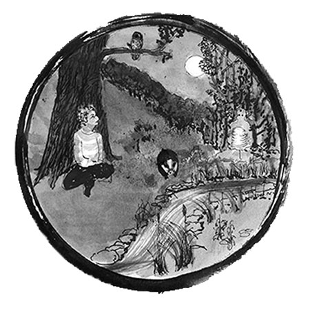 In Search of the Bees 8