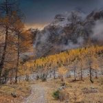 Valley in Autumn by Darpan