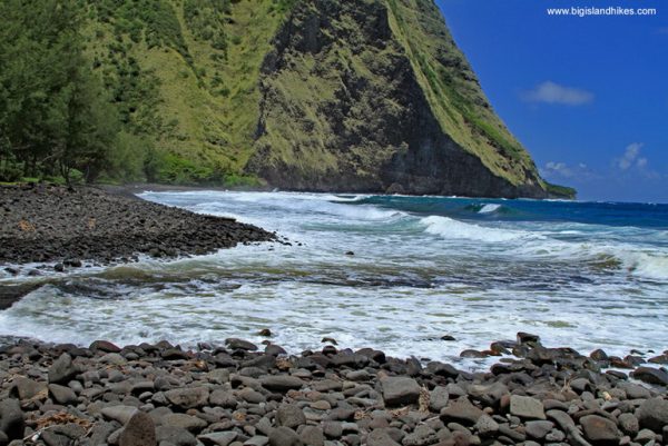 Surf at Waimanu beach
