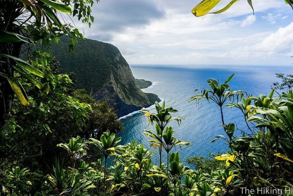 First view of Waimanu