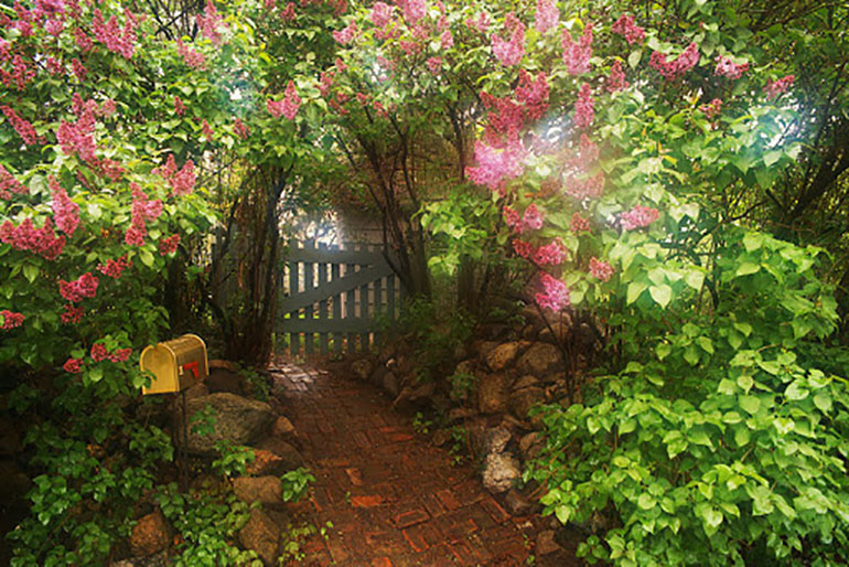 gate in garden