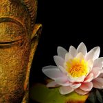 Buddha and lotus