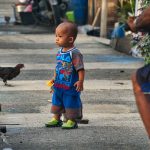 Chicken crossing road