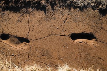 Footprints in mud