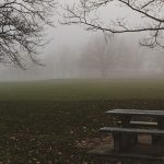 Bench in the park by Andreas Brun