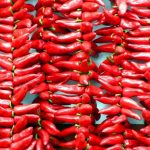 Obedient chillies
