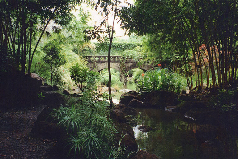 Articles | Osho News