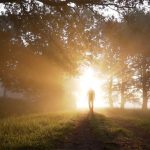 Never Born Never Died video