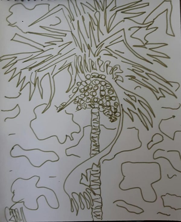 Coconut tree and clouds