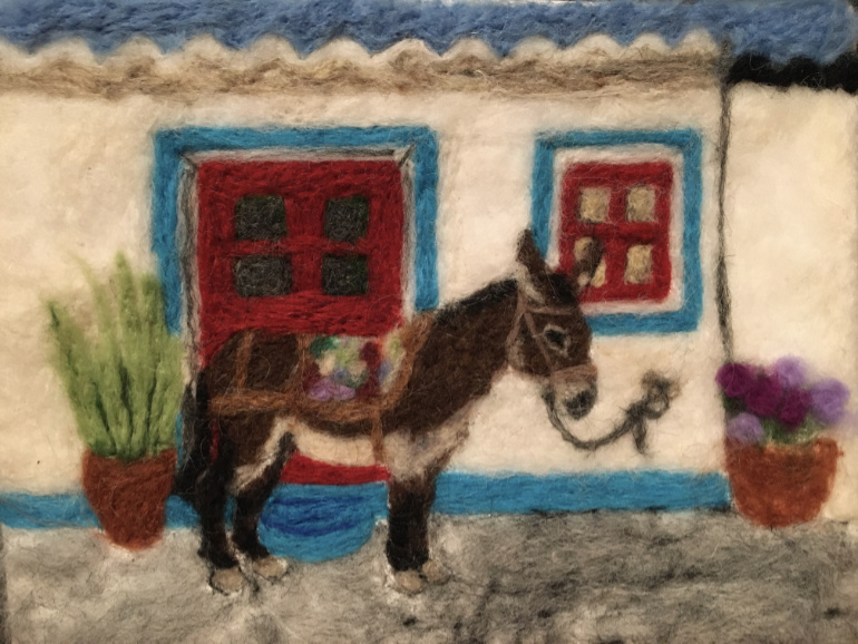 Supriya Donkey in front of house