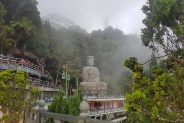 Buddha statue in the mist