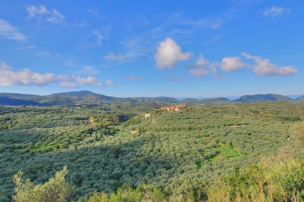 The village of Orovas amid olive groves