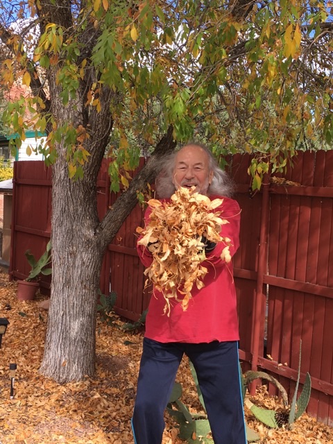 Viramo catching leaves