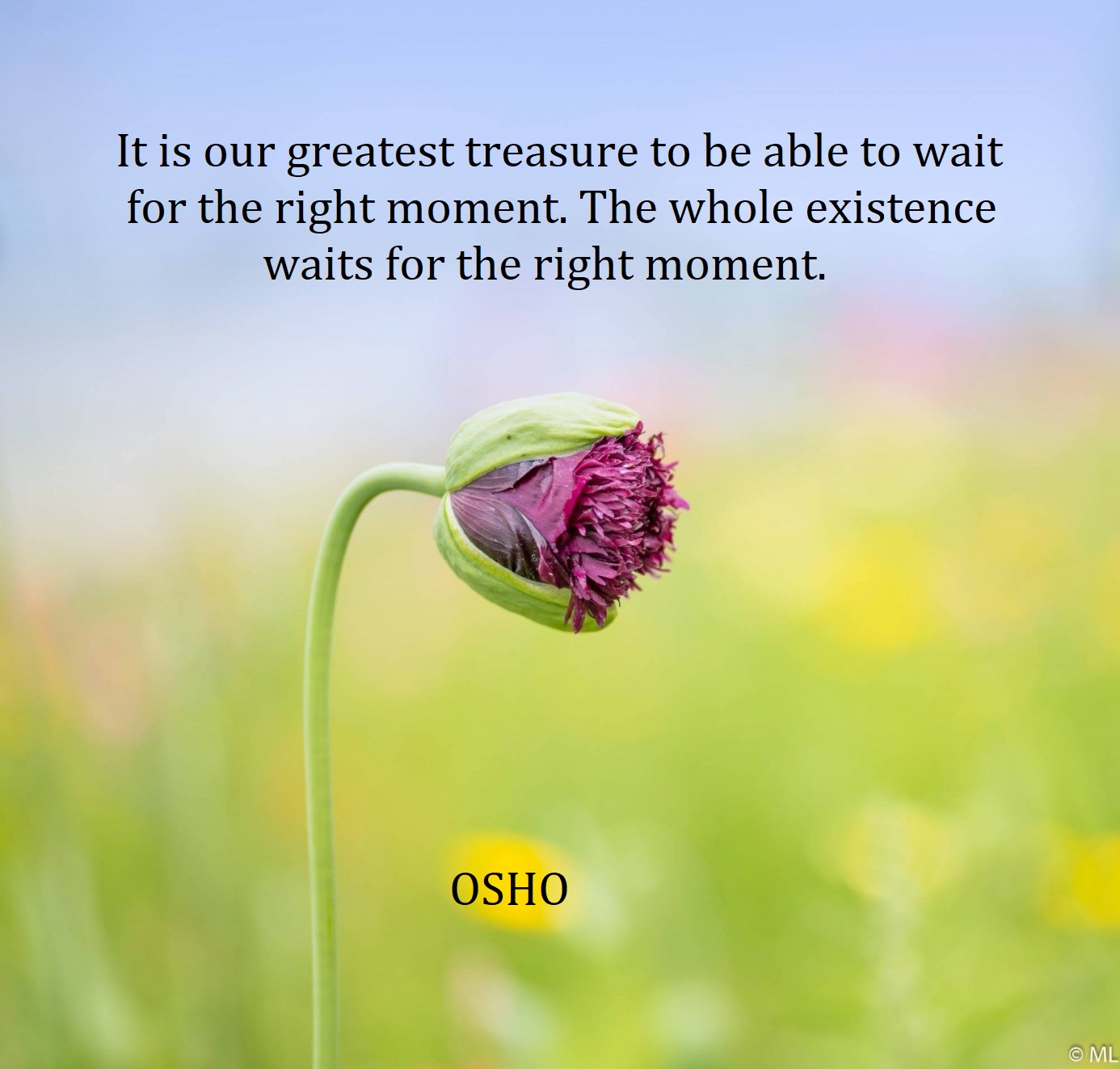 It is our greatest treasure to be able to wait for the right moment. The whole existence waits for the right moment.