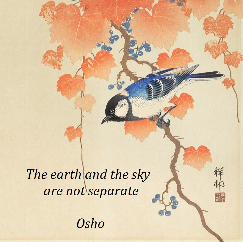 The earth and the sky are not separate. Osho