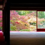 Autumn in Japan by Shantidharm