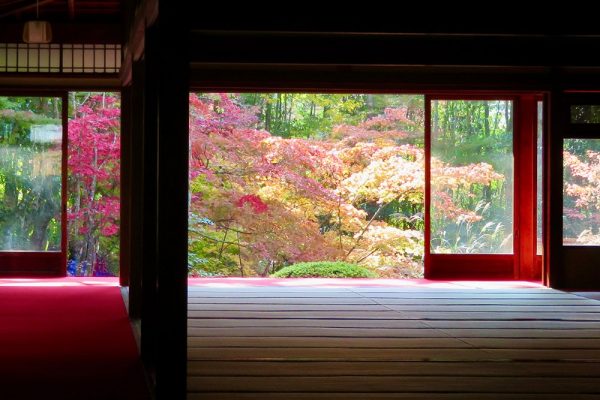 Autumn in Japan by Shantidharm