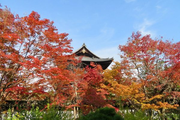 03 Japan Shantidharm.