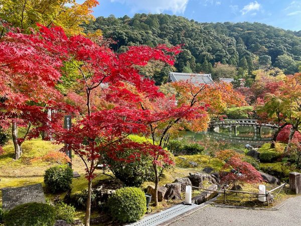 04 Japan Shantidharm.