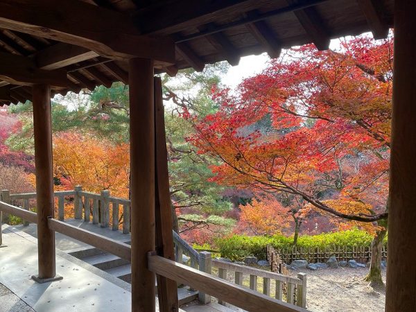 09 Japan Shantidharm.