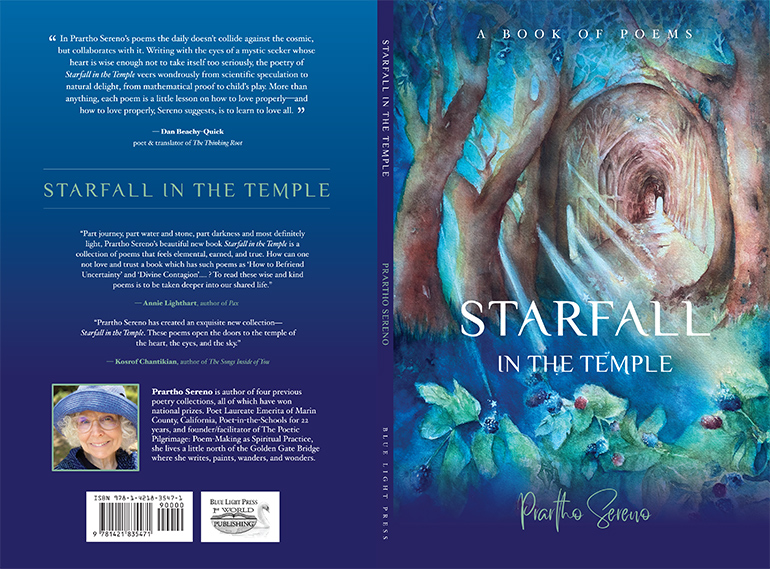 Starfall in the Temple by Prartho