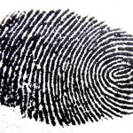 fingerprint