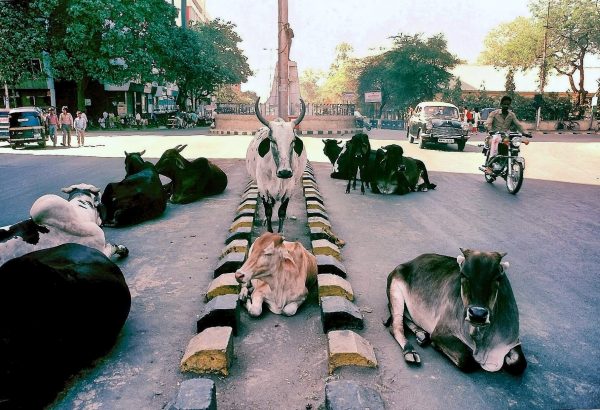 Ponna 1988 photo by Darpan