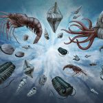 Illustration of marine fossils that have existed since the Cambrian