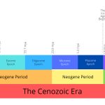 Cenozoic Era Timeline