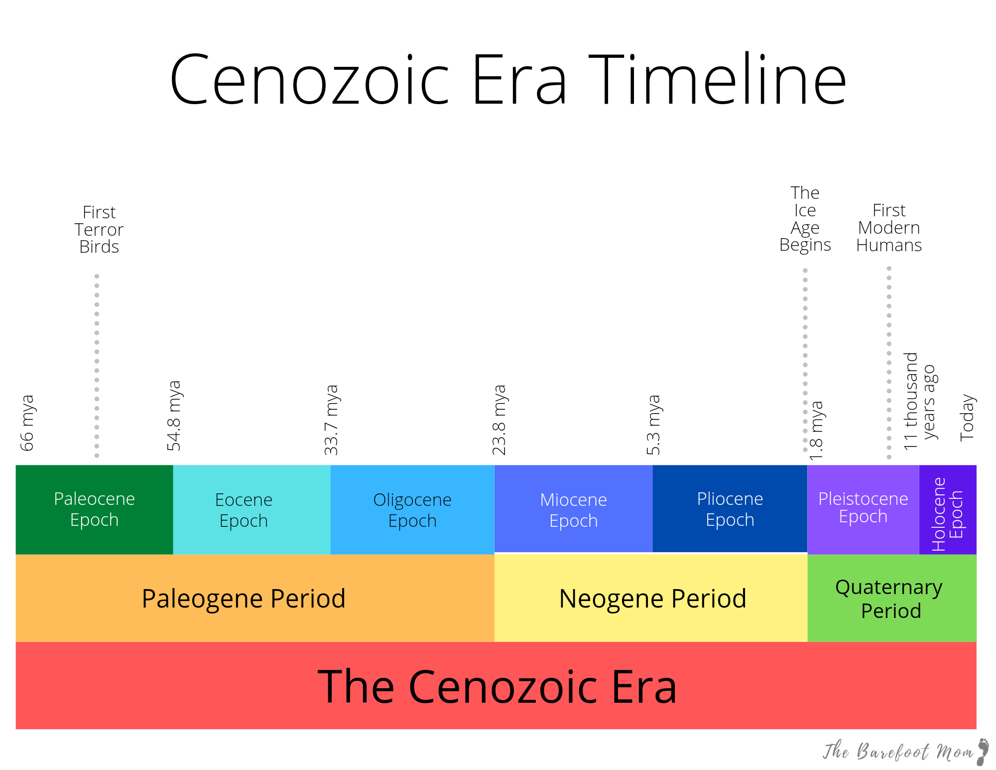 Cenozoic Era Timeline