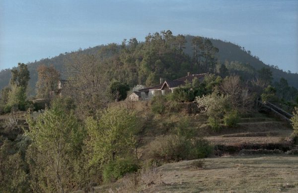 Our first view of the house