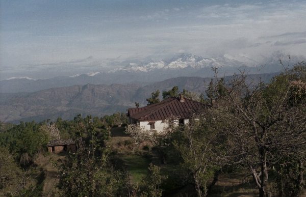 The house