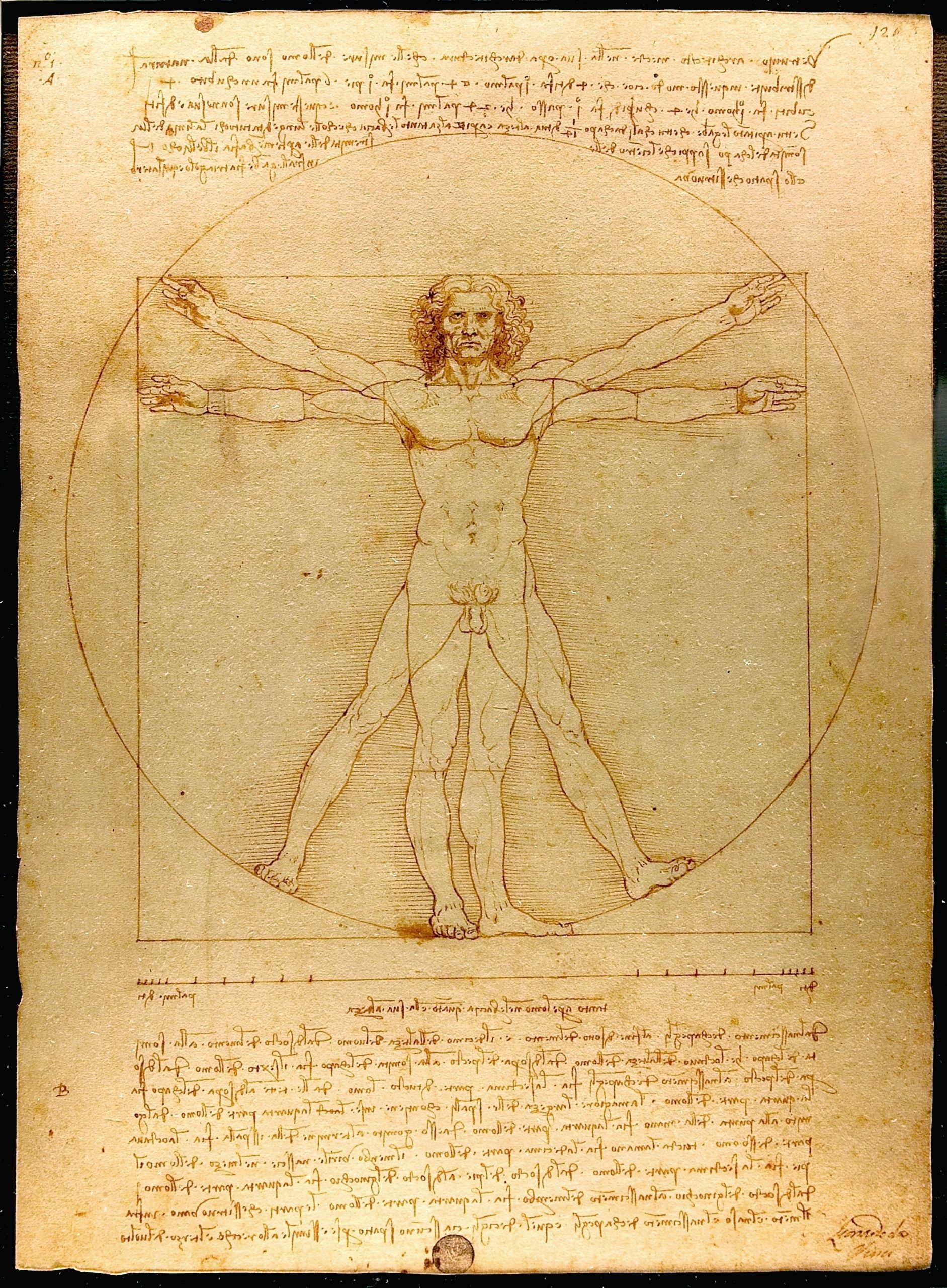 Leonardo da Vinci, The Vitruvian Man
