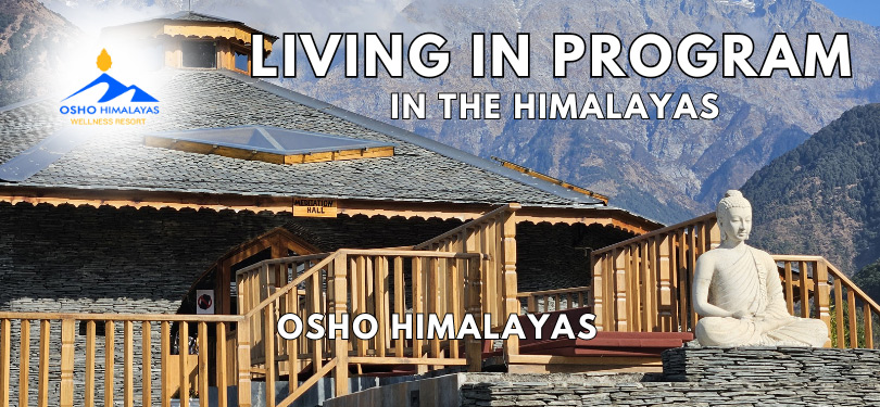 Living in Programme at Osho Himalayas