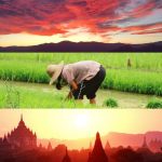 A Course in Witnessing by Purushottama