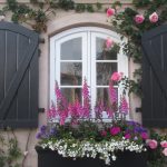 window with flowers