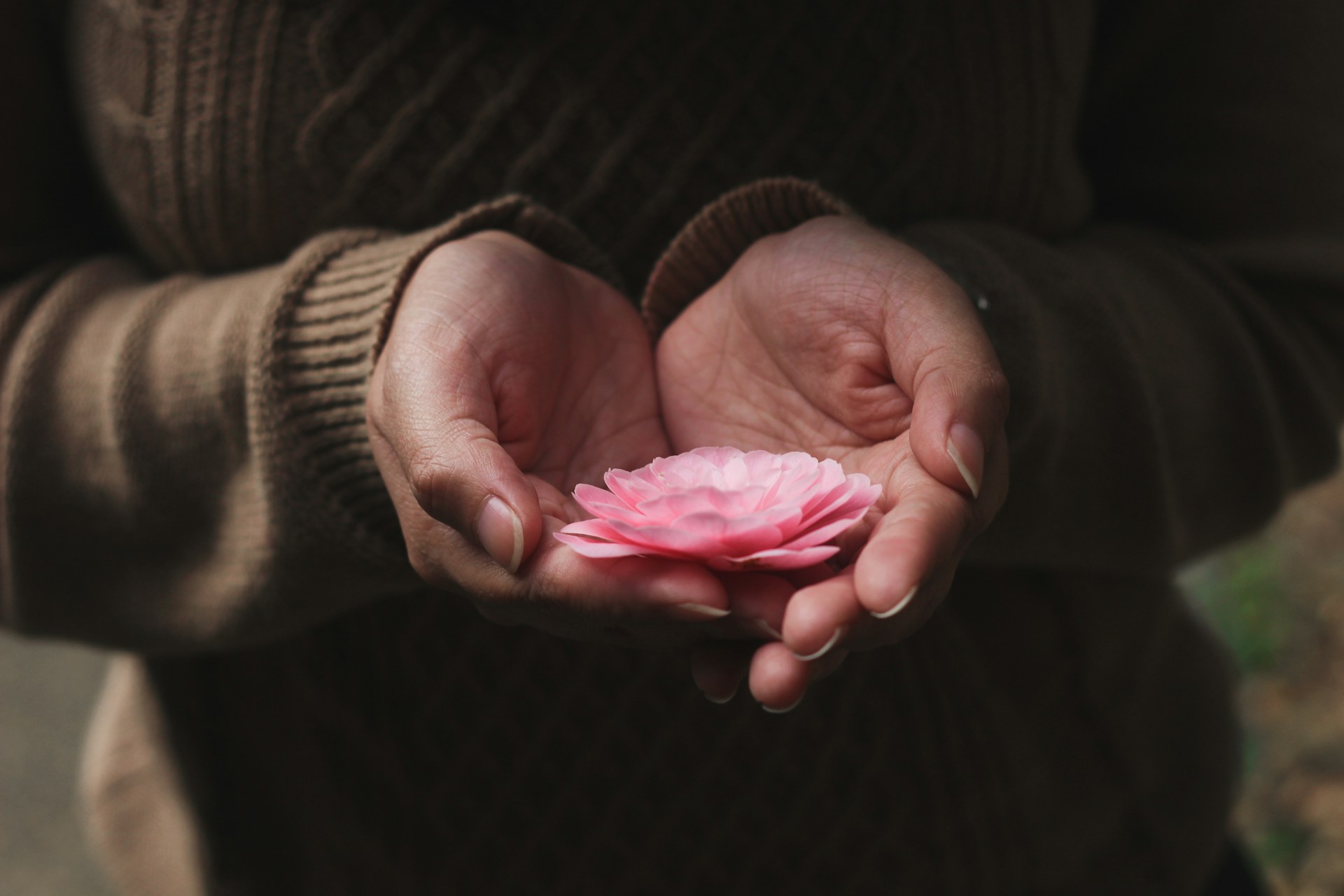 Flower being held in hands