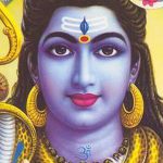 Holy Cow! An Indian Adventure