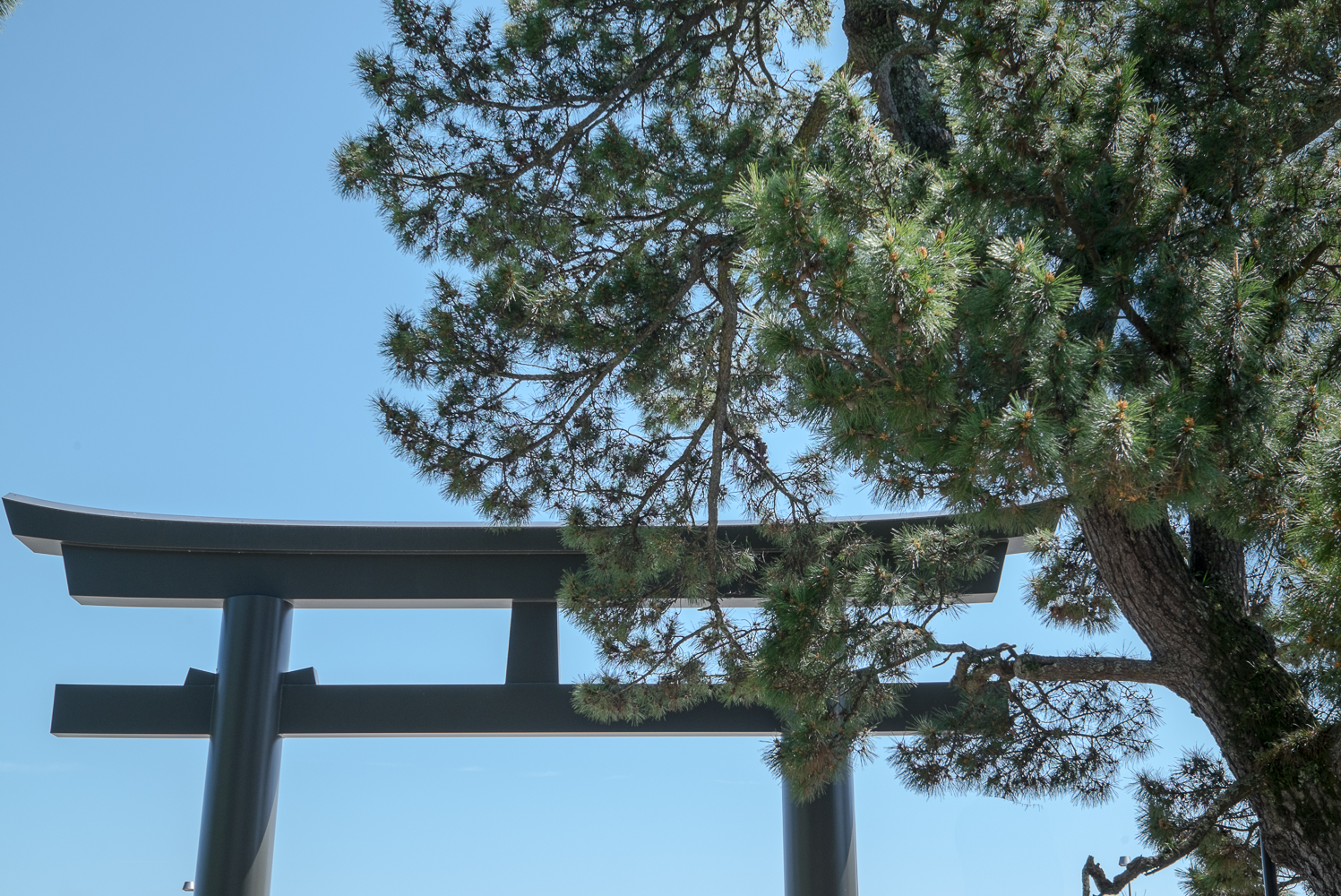 Torii gate
