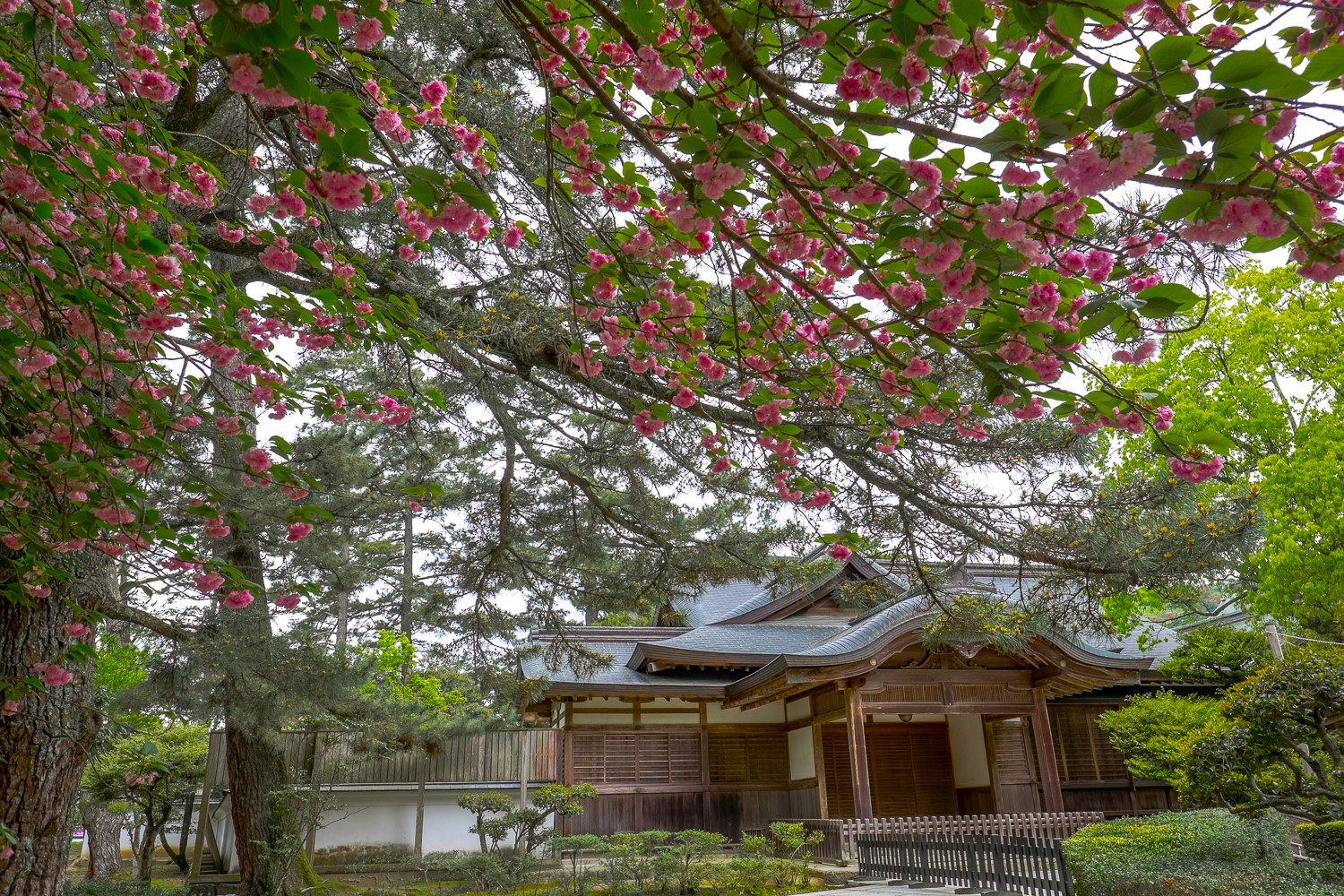 Chokushikan shrine