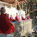 Meditating in the sun